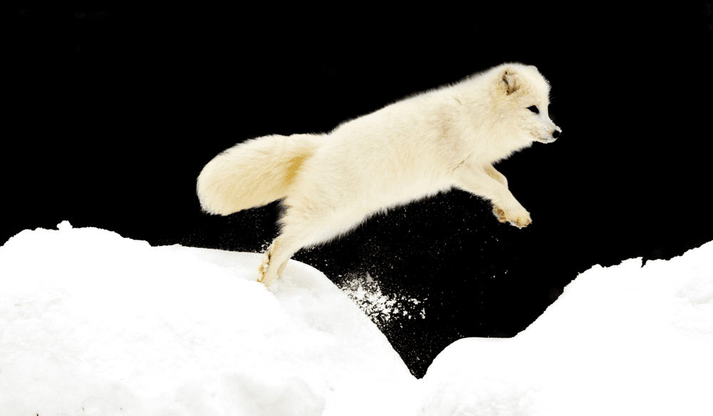 Blog pictures - 1800 x 1050 (7)-1