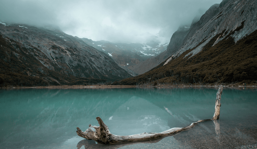 Blog pictures - 1800 x 1050 (3)-Sep-17-2024-09-41-16-5825-AM