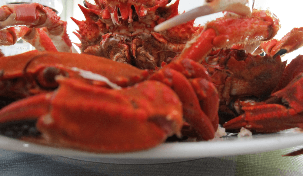 Blog pictures - 1800 x 1050 (5)-Sep-17-2024-09-51-31-1335-AM