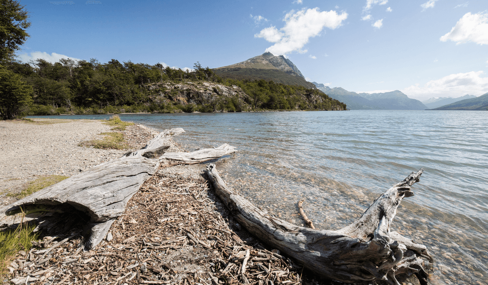 Blog pictures - 1800 x 1050-Sep-17-2024-09-20-04-7870-AM