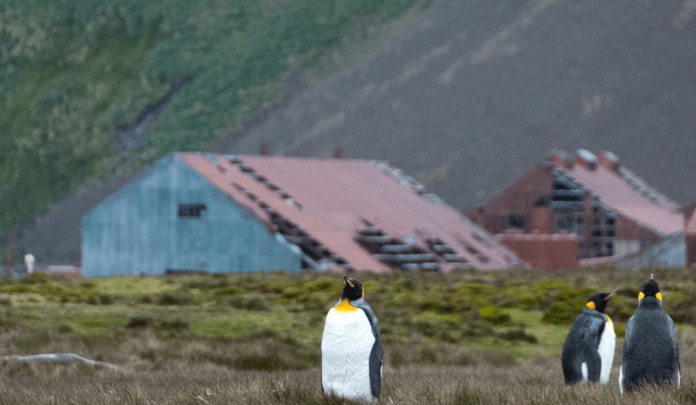 Blog pictures - 1800 x 1050 (1)-Nov-15-2024-01-47-38-2531-PM