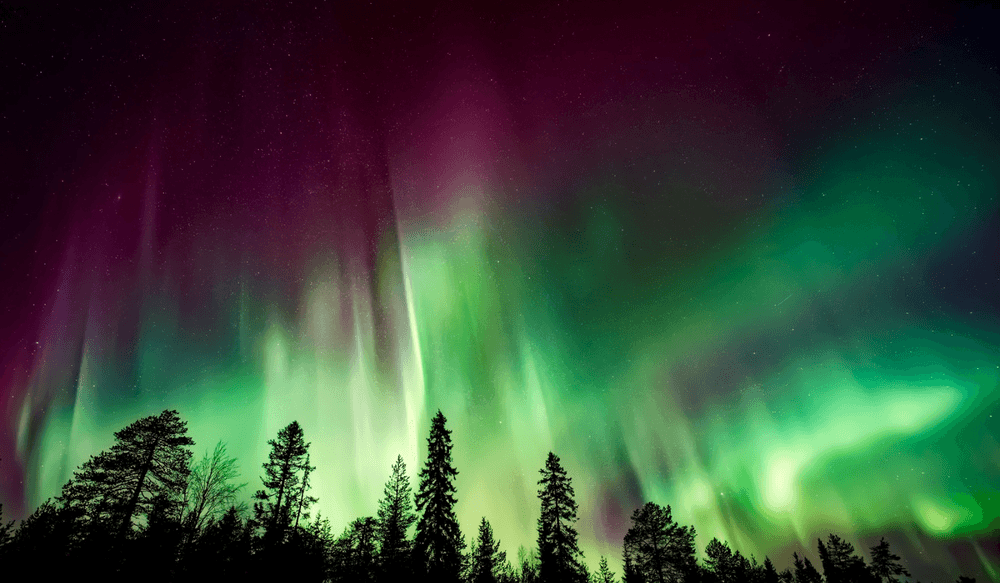 Blog pictures - 1800 x 1050-Feb-26-2025-08-05-37-4350-AM