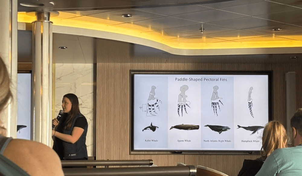 Koh Dach-Apr-24-2025-06-46-47-8450-PM