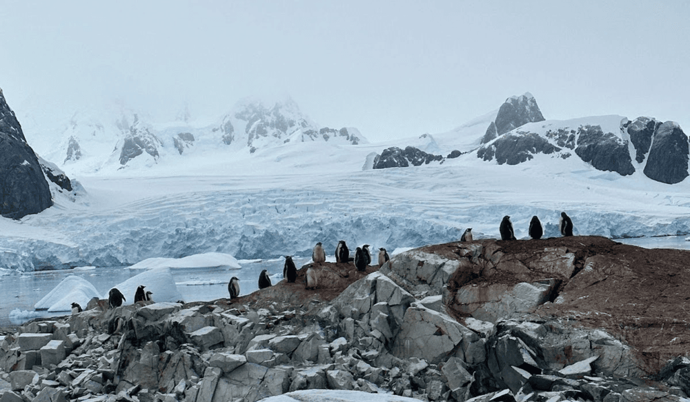 Blog pictures - 1800 x 1050 (3)-May-16-2025-11-47-48-1772-AM