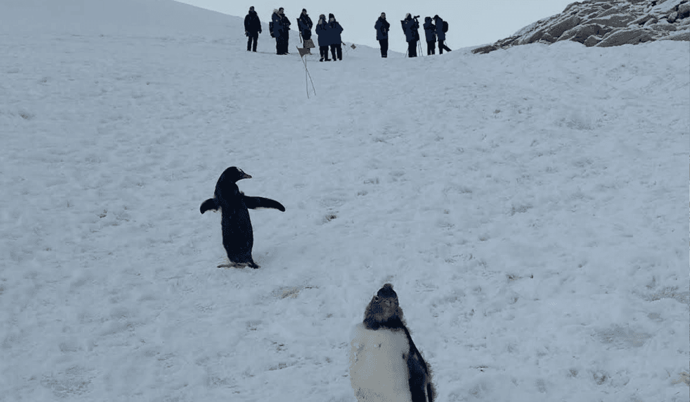 Blog pictures - 1800 x 1050 (7)-May-16-2025-01-07-59-6561-PM