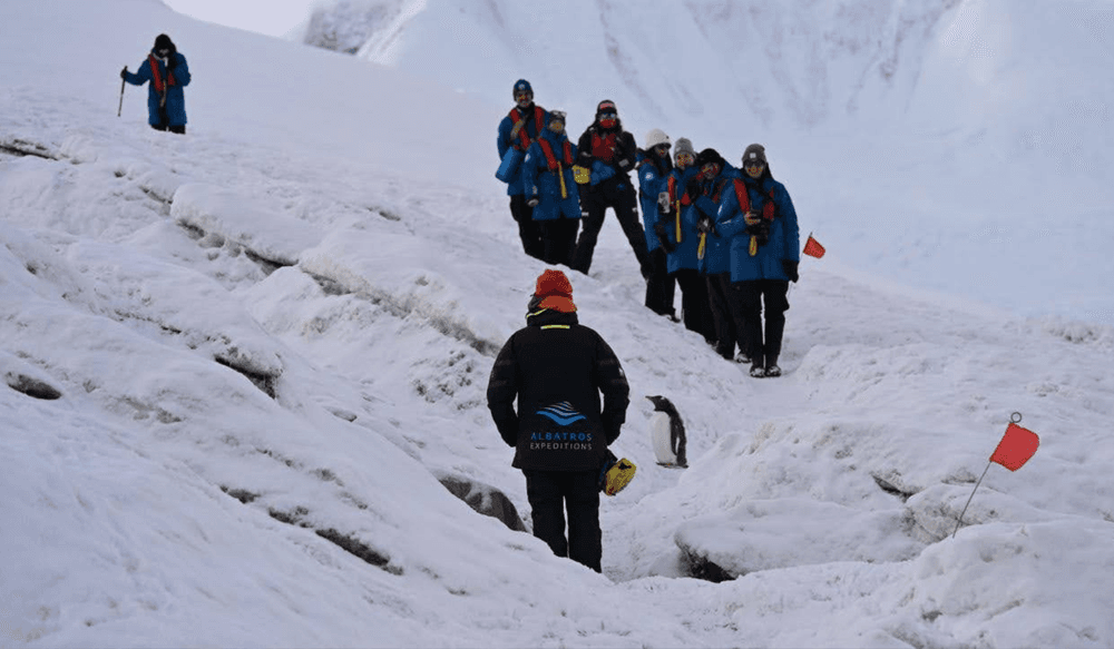 Blog pictures - 1800 x 1050 (2)-May-28-2025-03-10-39-5775-PM