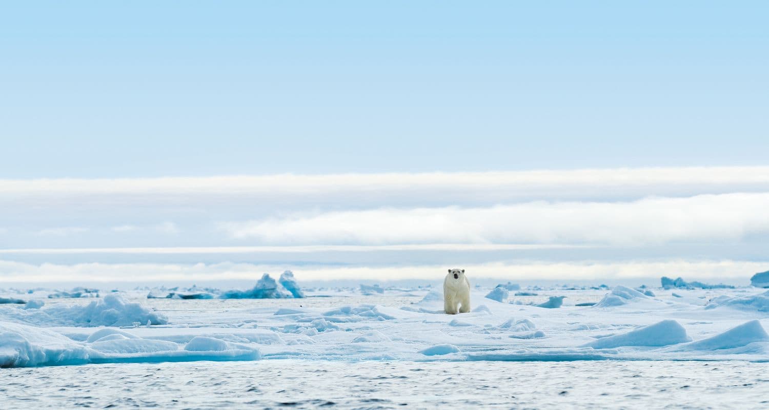 Svalbard Adventure with MS Quest