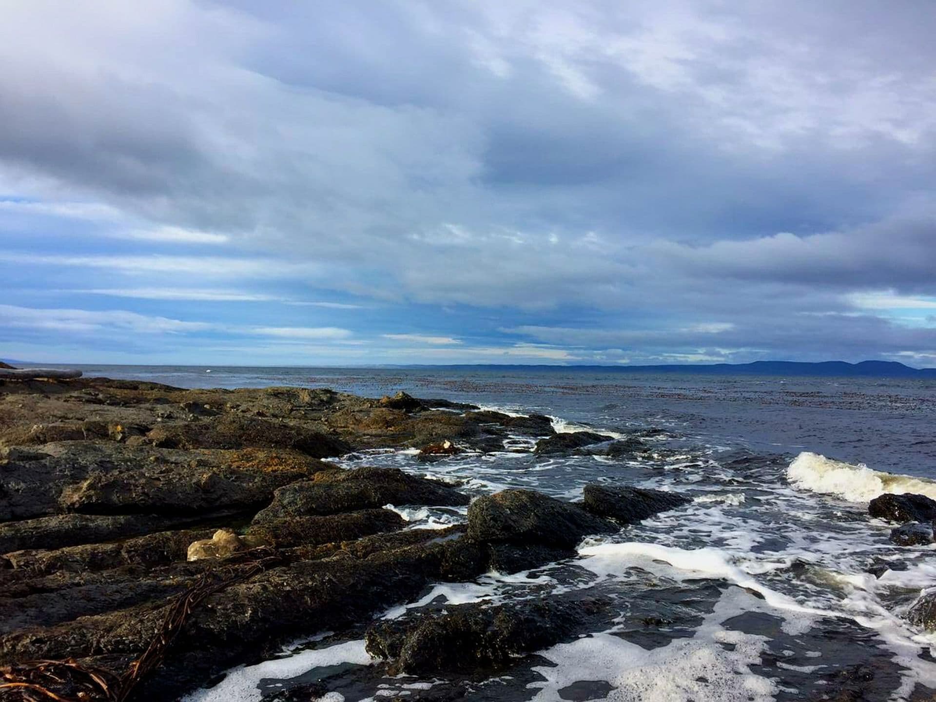 Embark in Punta Arenas