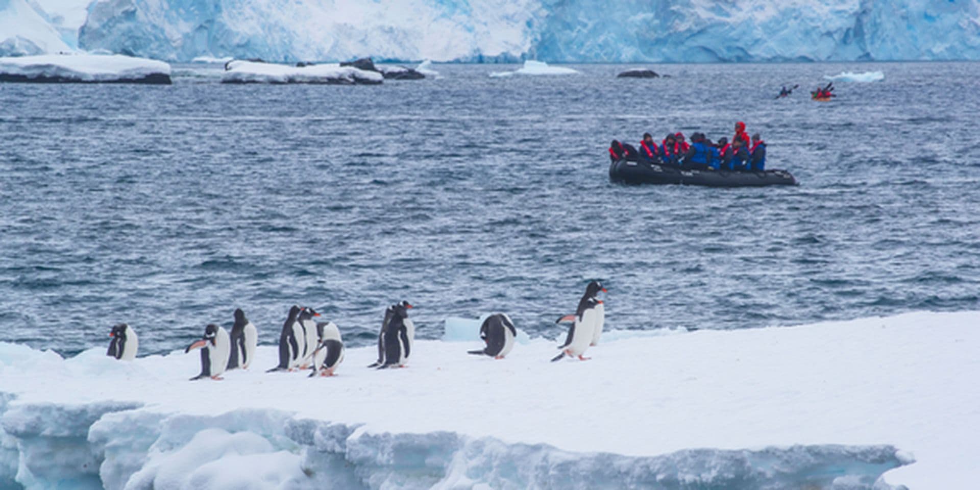 Aurora Expeditions Antarctica