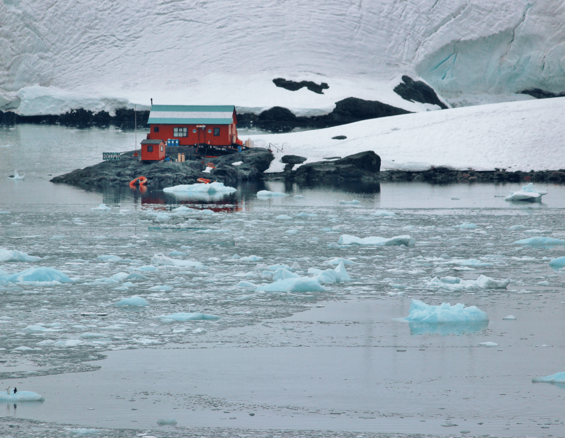 About the IAATO treaty - How is tourism in the ice continent regulated, and when is the best time to visit Antarctica?