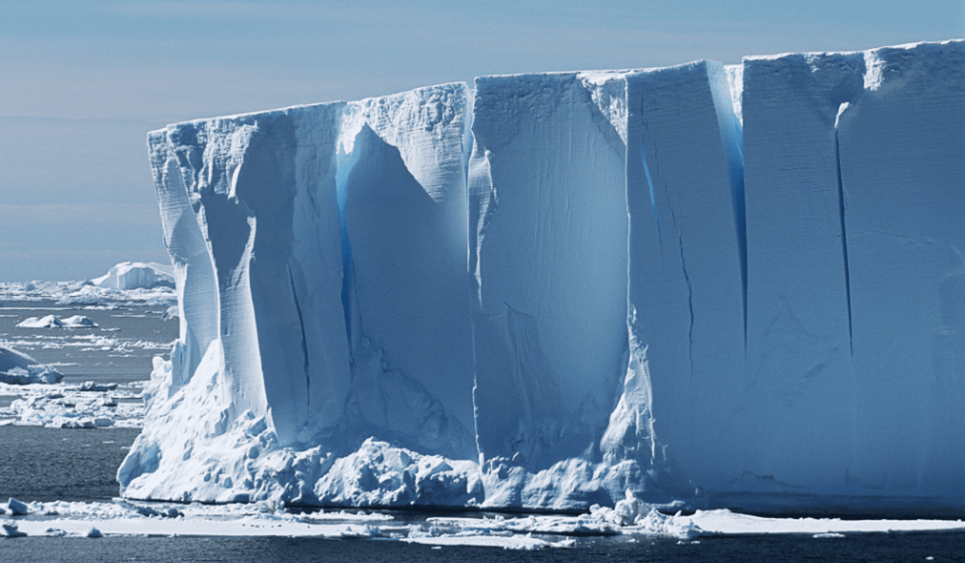 Celia’s Antarctic Chronicles, Episode 1: The Adventure Begins