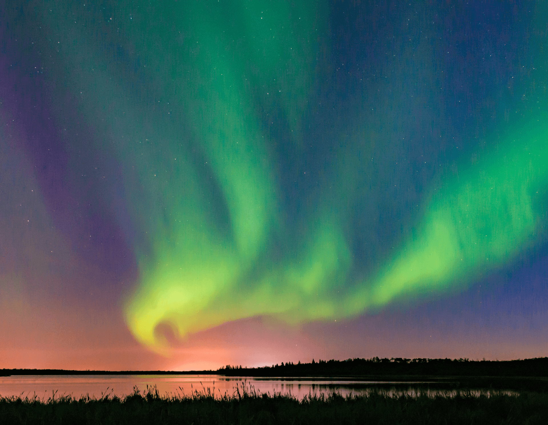 The Northern and Southern Lights – Polar Opposites?