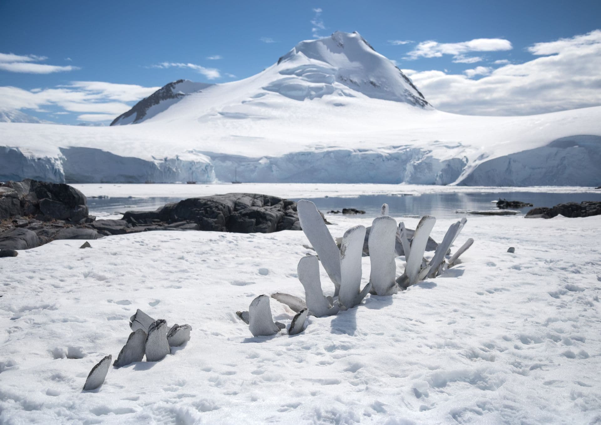 Quark Expeditions - Antarctic Peninsula