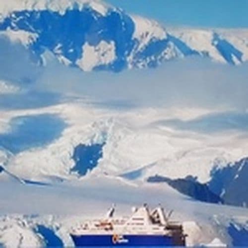 Review quark poloxcc