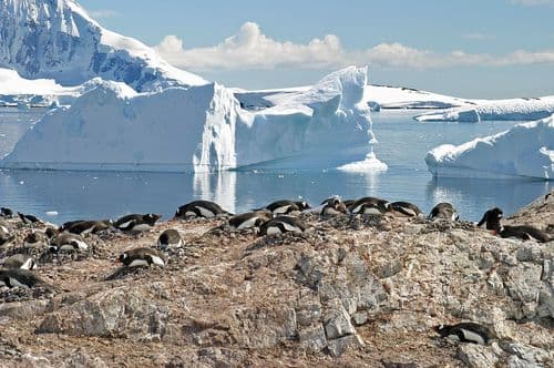 Image without description