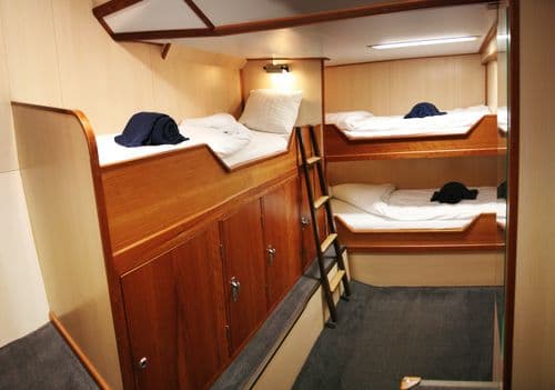 Image without description