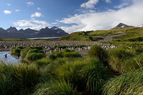 Ocean Victory Solar Eclipse