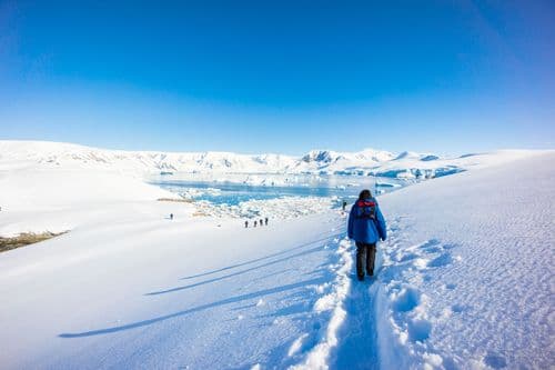 Antarctica Traveler