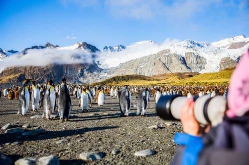 Aurora Expeditions Greg Mortimer Antarctica Complete