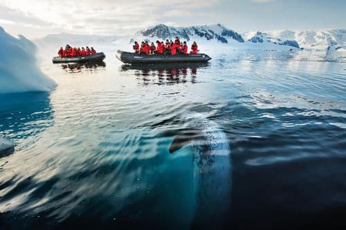 Silversea Antarctica Photos