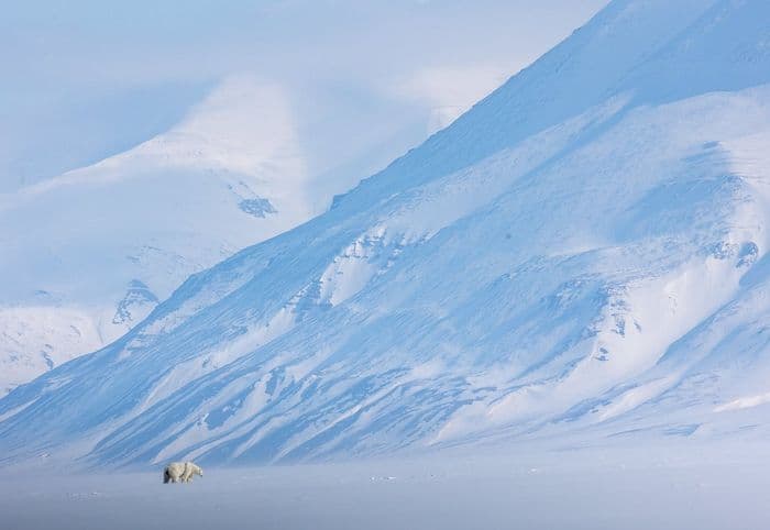 Secret Atlas Reviews