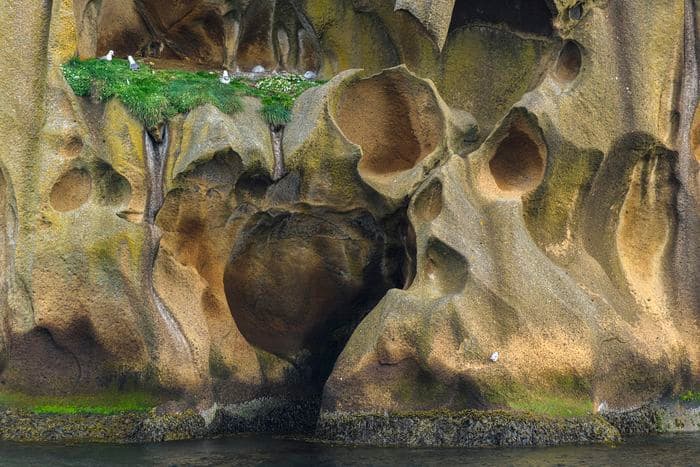 Albatros Expedition circumnavigating iceland