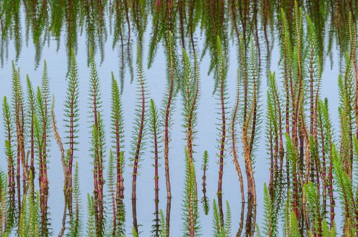 Albatros Expedition circumnavigating iceland