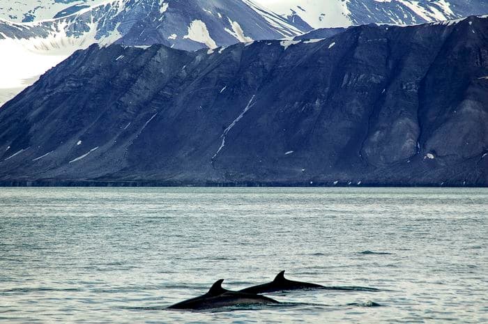 ocean Atlantic 4 arctic islands