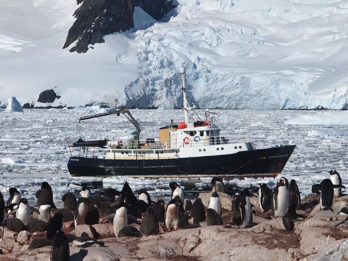 Hans Hansson - Quixode Expeditions