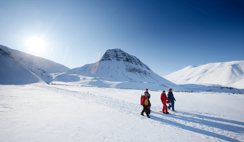 Sustainable Travel Tips for the Arctic and Antarctica