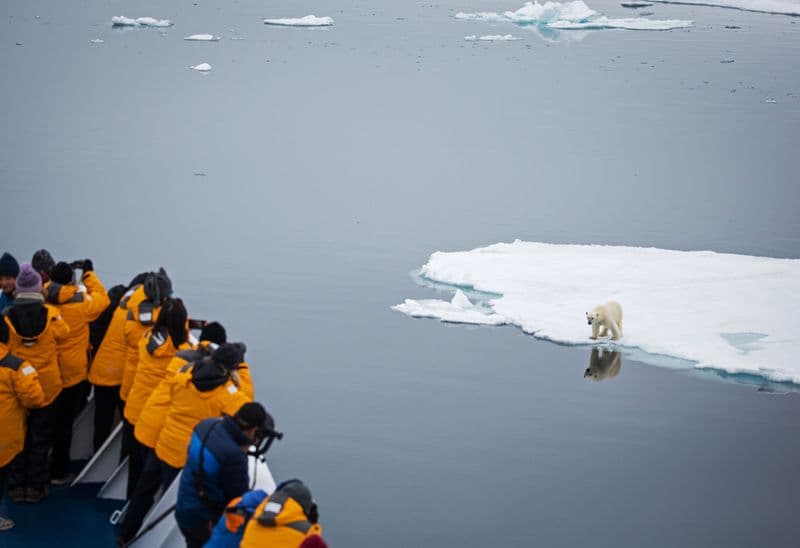 QuarkExpeditions_ Spitsbergen Photography: In Search of Polar Bears